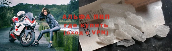 молекула духа Белокуриха