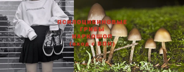 СК Беломорск