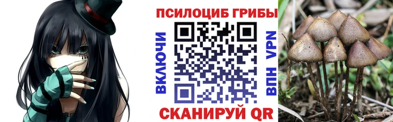 omg как войти  Покровск  Псилоцибиновые грибы мухоморы 